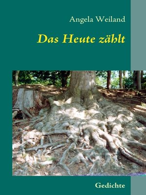 cover image of Das Heute zählt